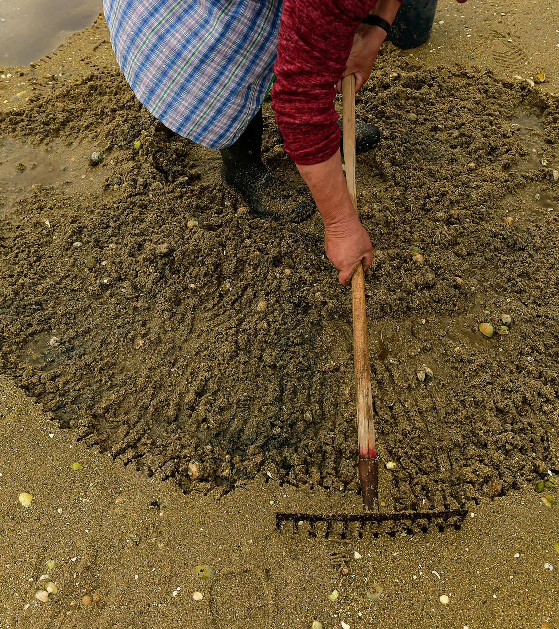 Muschelgräber bei der Suche