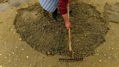 Muschelgräber bei der Suche