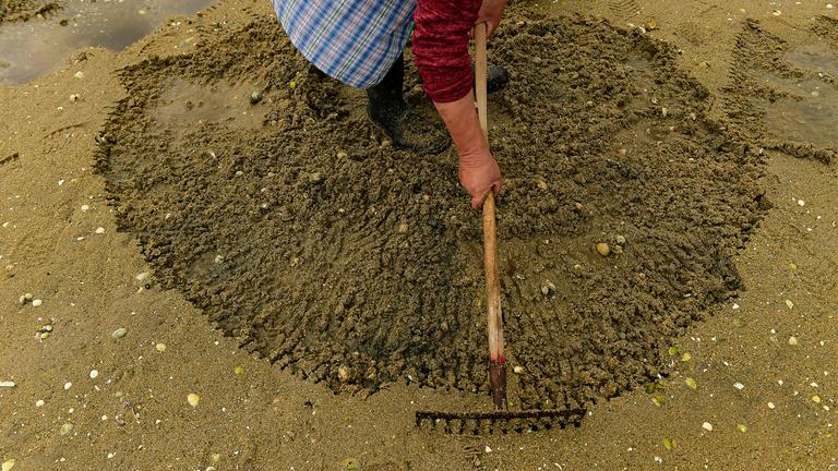 Muschelgräber bei der Suche