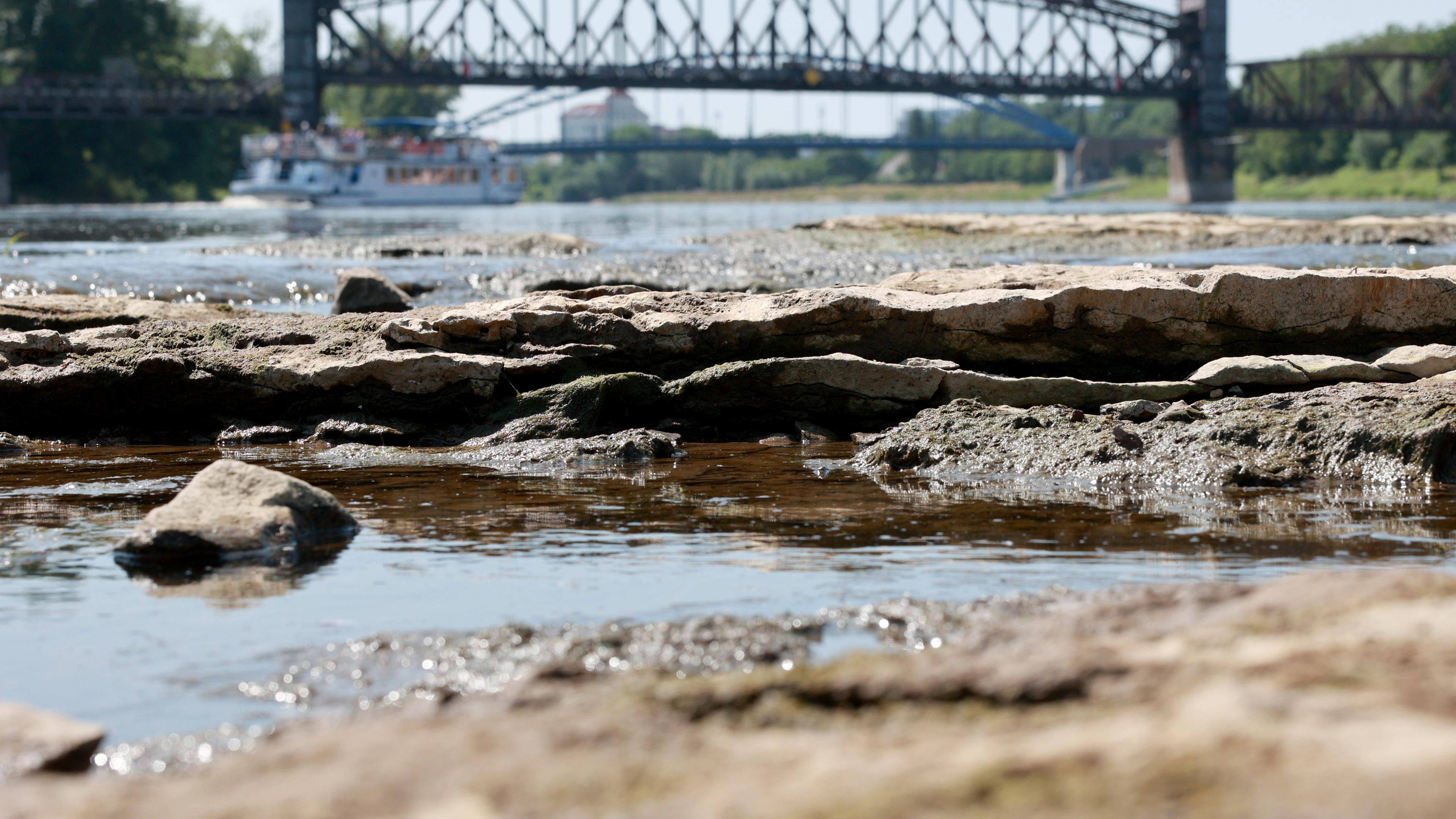 Niedrigwasser an der Elbe