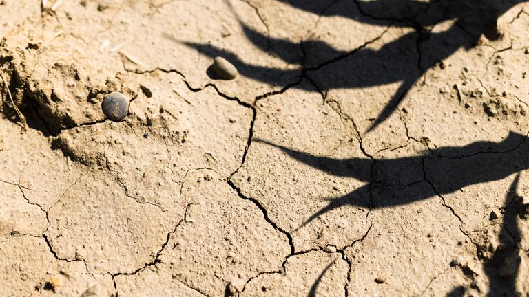Trockener Boden