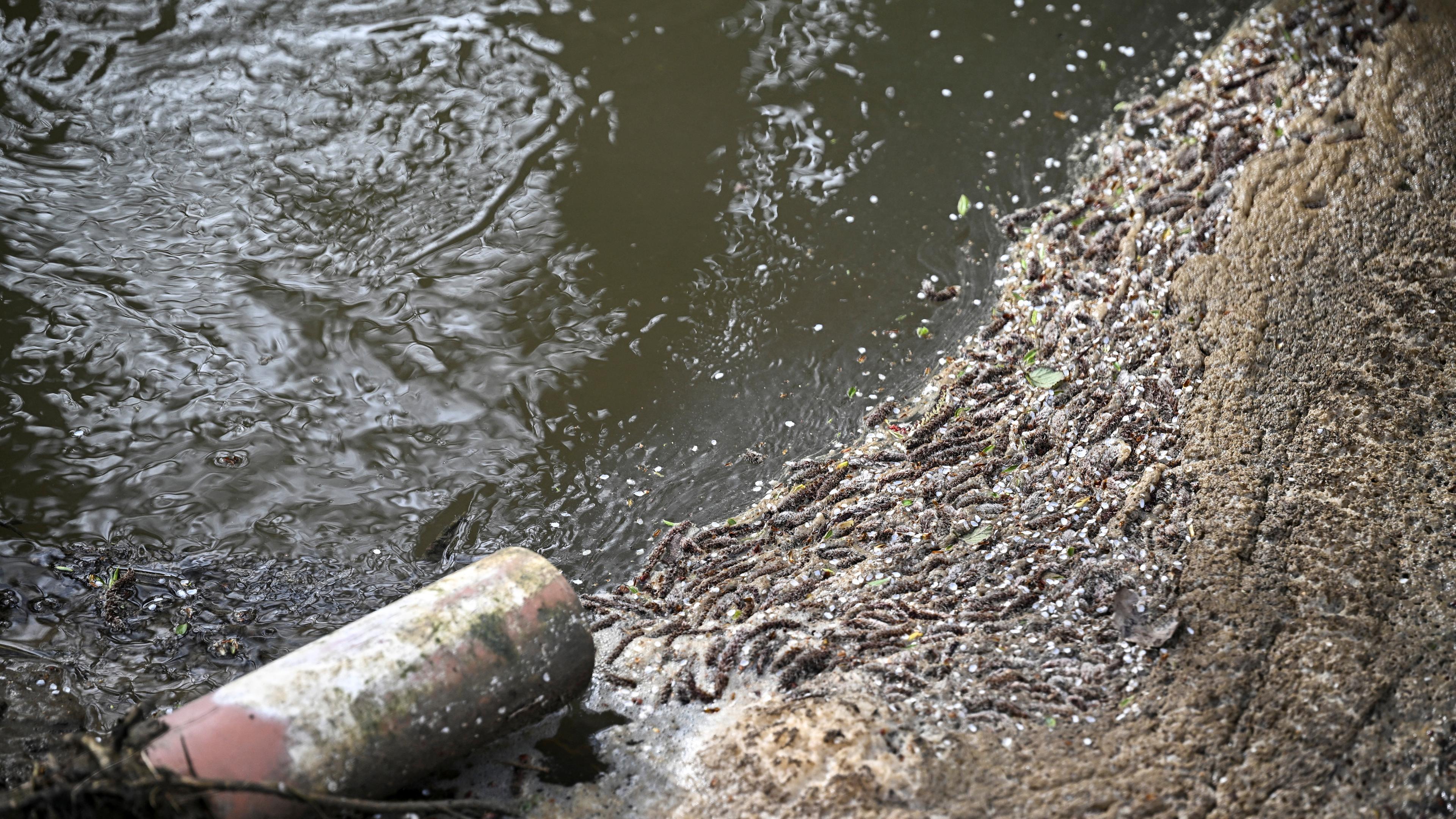 Untreated sewage is discharged from Thames Water treatment works, near Chalgrove