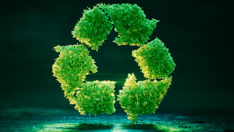 Recycling-Symbol aus grünen Blättern