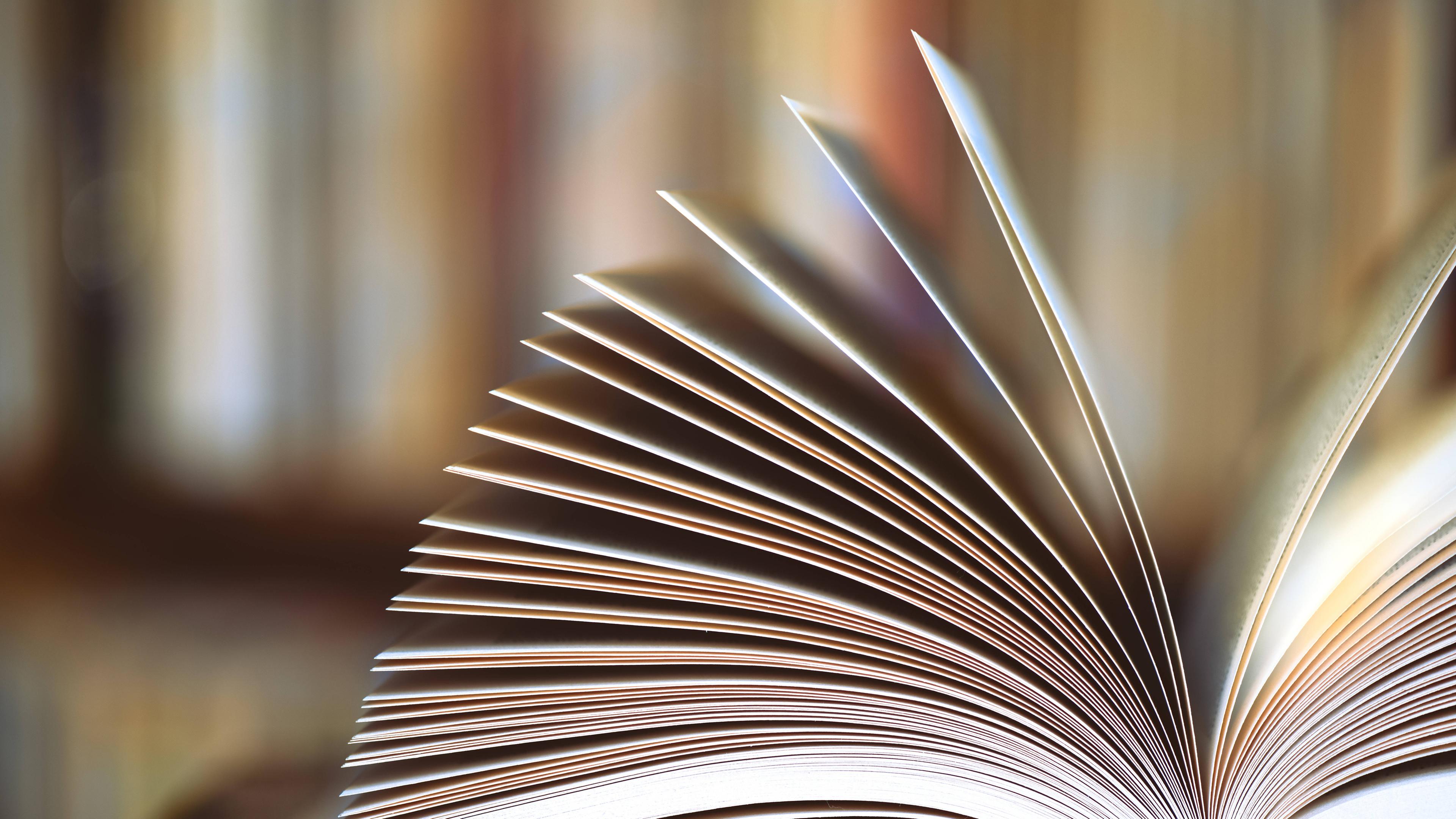 Aufgeschlagenes Buch