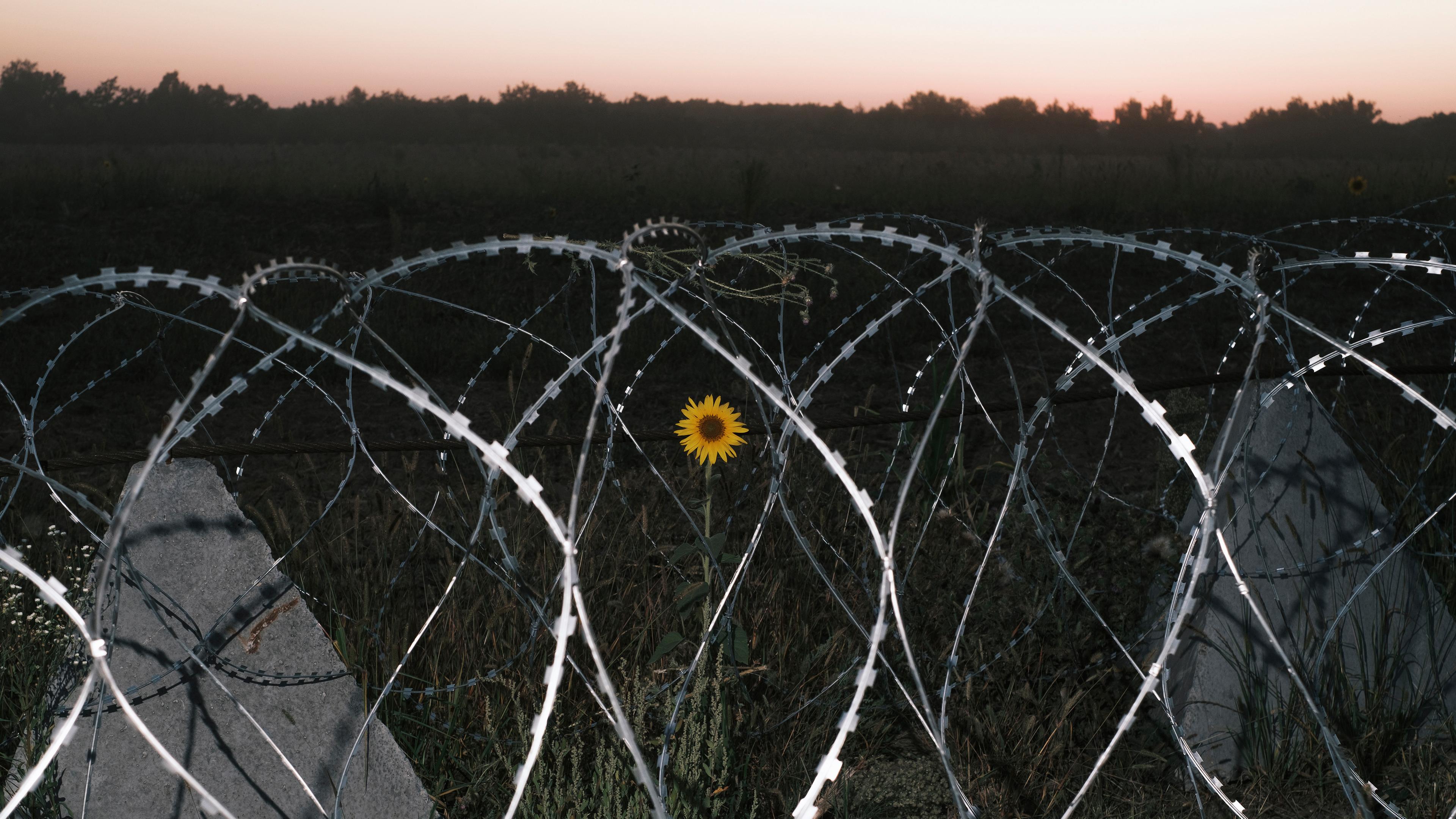 Situation an der ukrainisch-russischen  Grenze