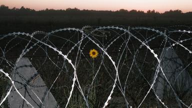 Situation an der ukrainisch-russischen  Grenze