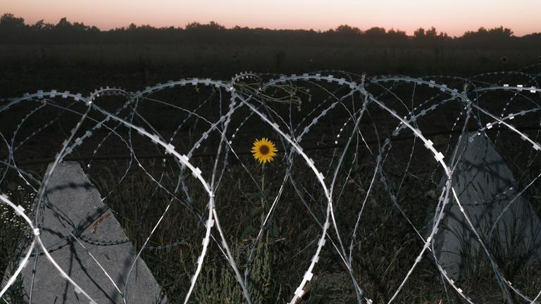 Situation an der ukrainisch-russischen  Grenze