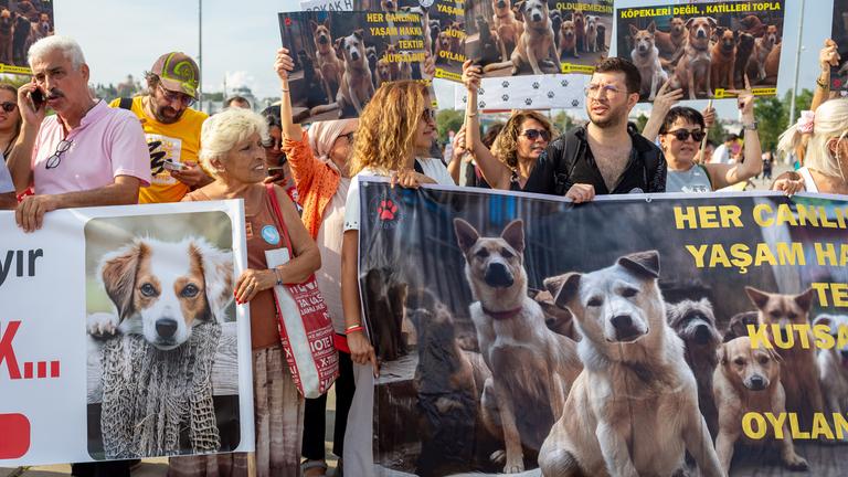Tierschützer protestierten in Istanbul