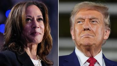 Wahlen in den USA - Harris Trump
