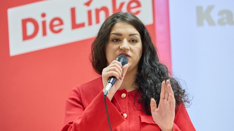 Landesvertreterversammlung Die Linke Hamburg