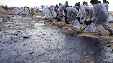 Freiwillige säubern einen ölgetränkten Strand