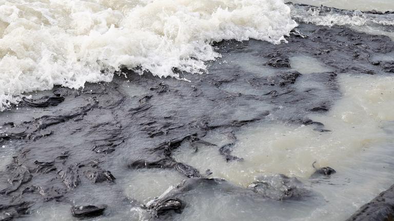 Ölpest im Schwarzen Meer: Reinigungsarbeiten am Strand