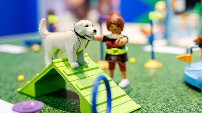 Playmobil Hundeshow