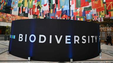ITALY-BIODIVERSITY-COP16-CLIMATE