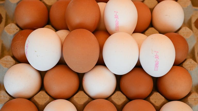 Weiße und braune Eier an einem Markstand