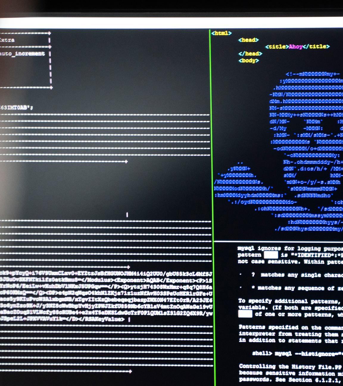 Cybersicherheit