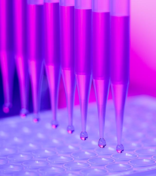 Bekannt aus Game Of Thrones: Das US Unternehmen Colossal Biosciences hat erste Schattenwölfe zurückgekreuzt