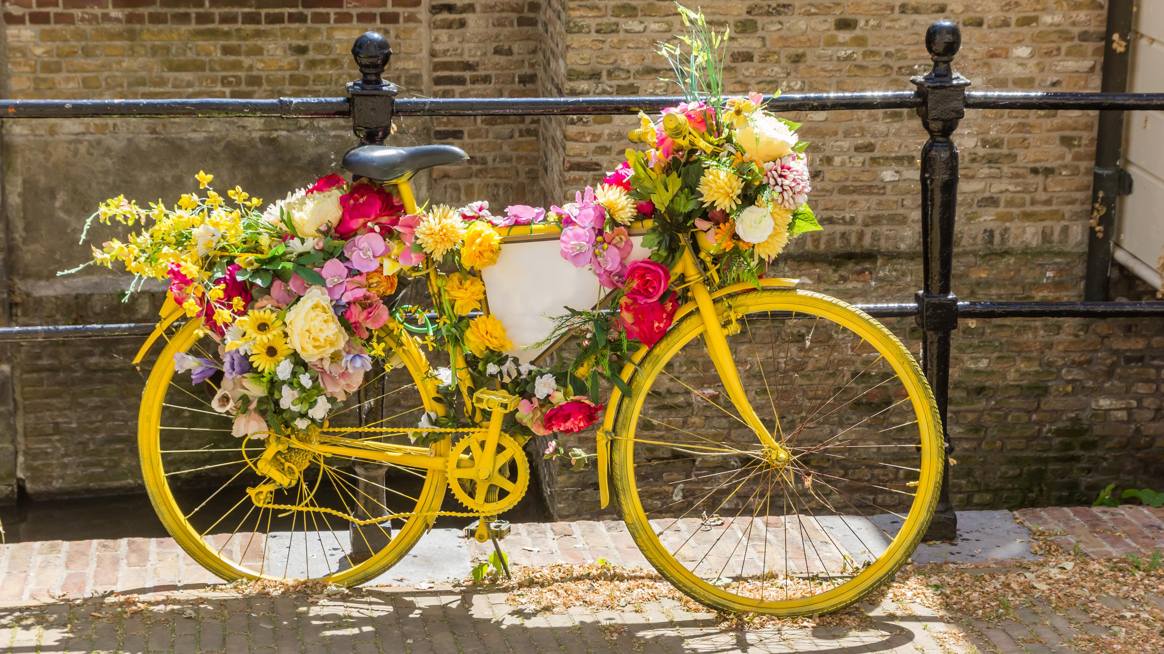 Gelbes, blumengeschmücktes Fahrrad an der Gracht in Gouda