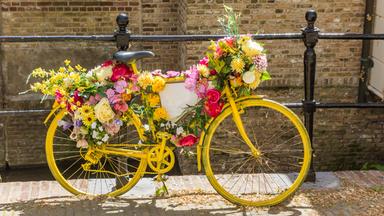Gelbes, blumengeschmücktes Fahrrad an der Gracht in Gouda