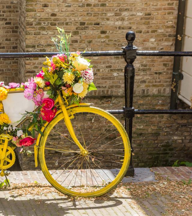Gelbes, blumengeschmücktes Fahrrad an der Gracht in Gouda