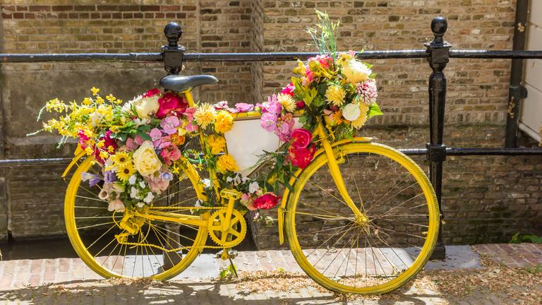 Gelbes, blumengeschmücktes Fahrrad an der Gracht in Gouda
