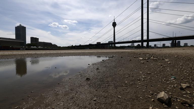 Düsseldorf: Rhein bei Niedrigwasser