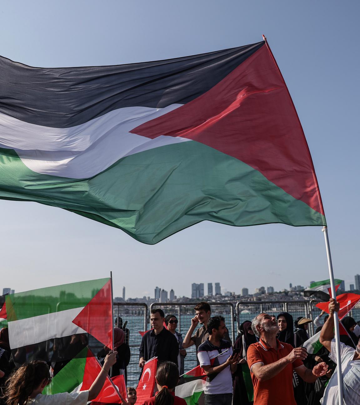 Pro-Palestinian rally in Istanbul