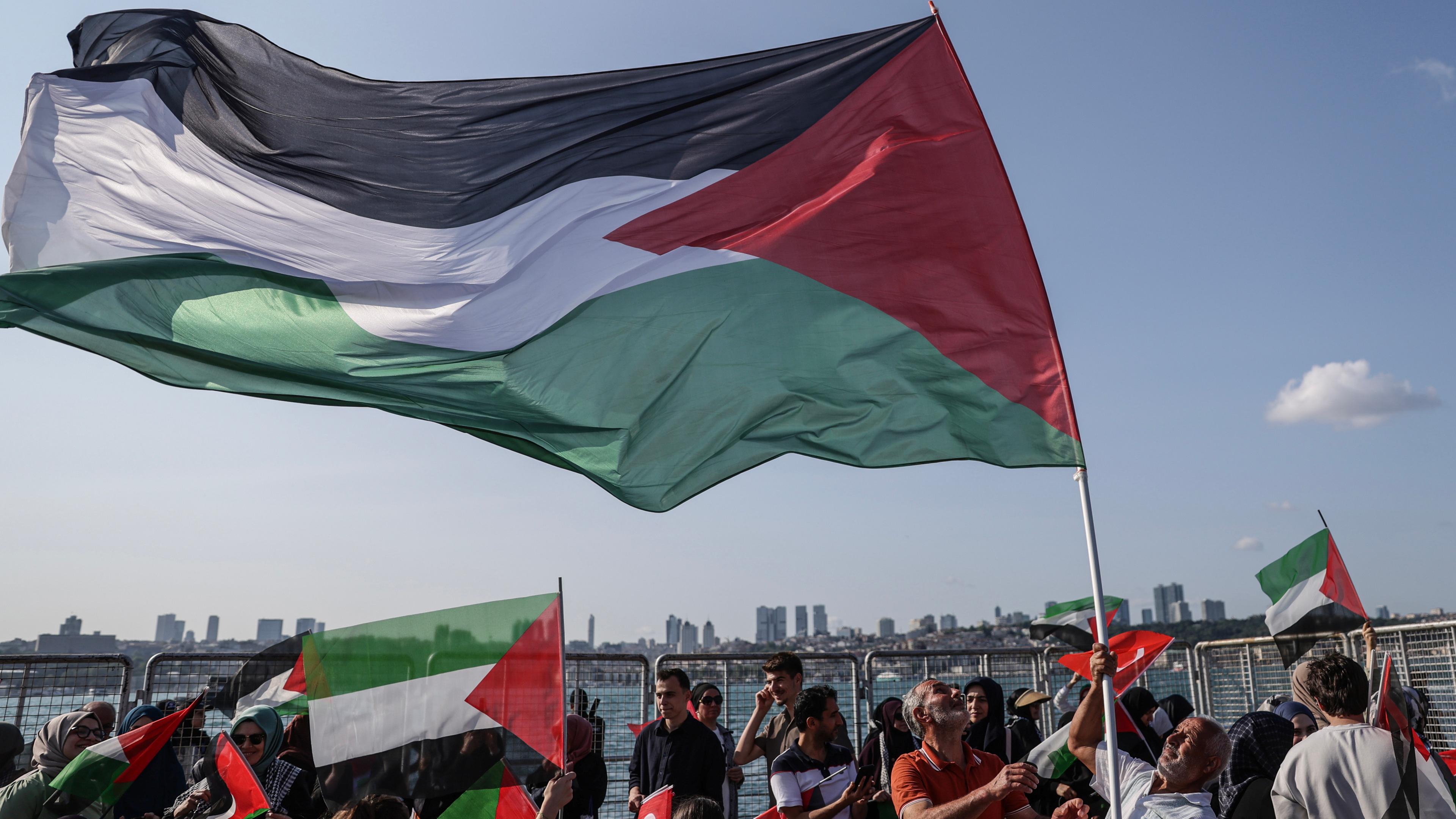 Pro-Palestinian rally in Istanbul