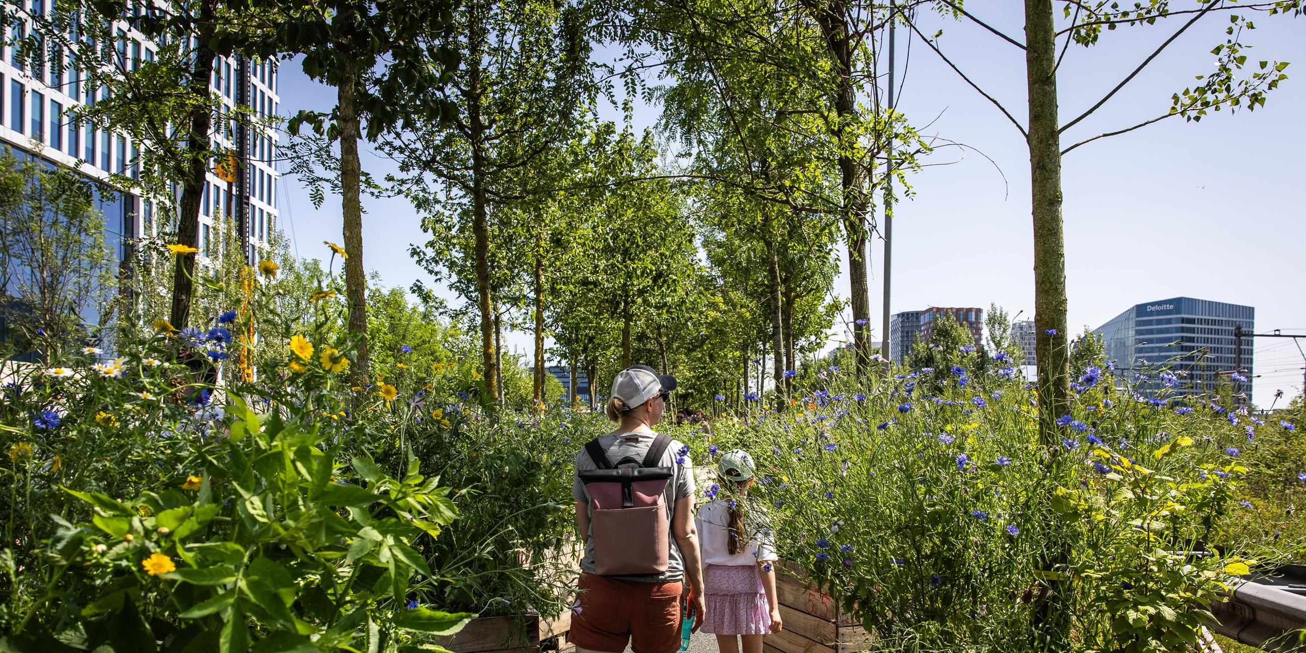 Amsterdam's 750th anniversary celebrations on car-free ring road