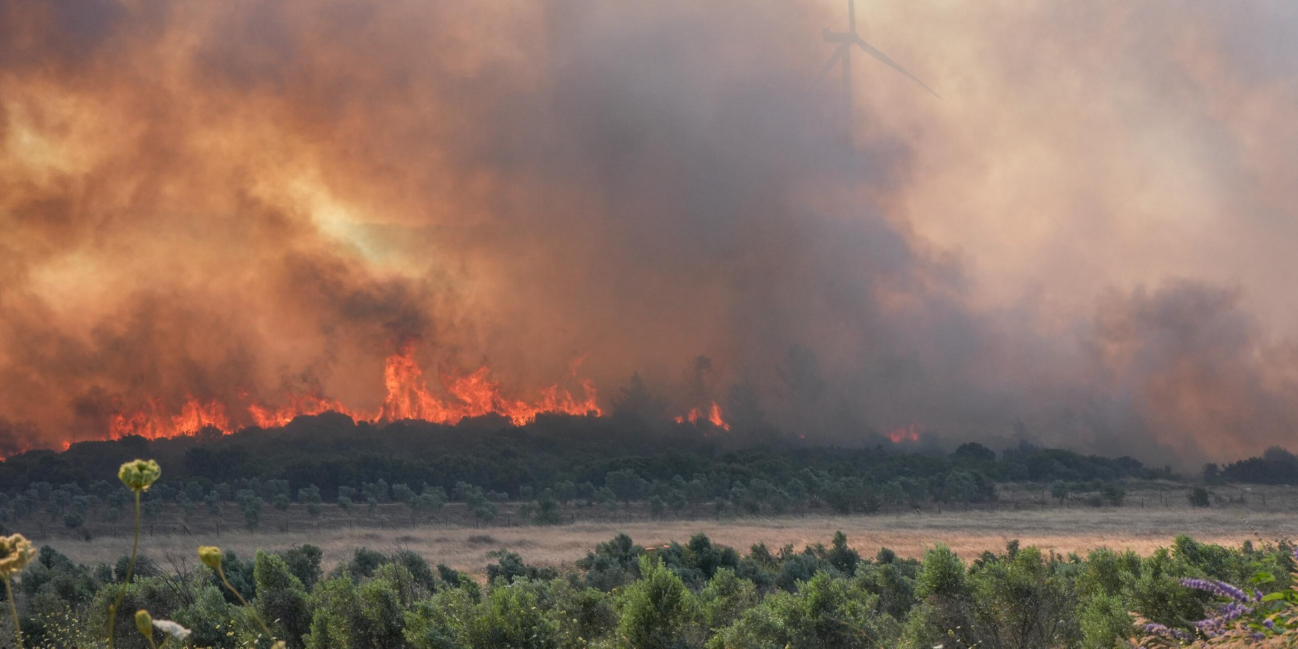 Brandbekämpfung bei den verheerenden Waldbränden in Izmir