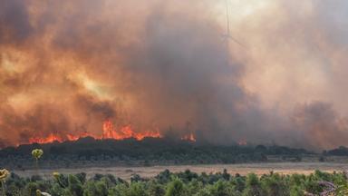Brandbekämpfung bei den verheerenden Waldbränden in Izmir
