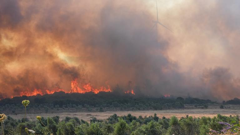 Brandbekämpfung bei den verheerenden Waldbränden in Izmir