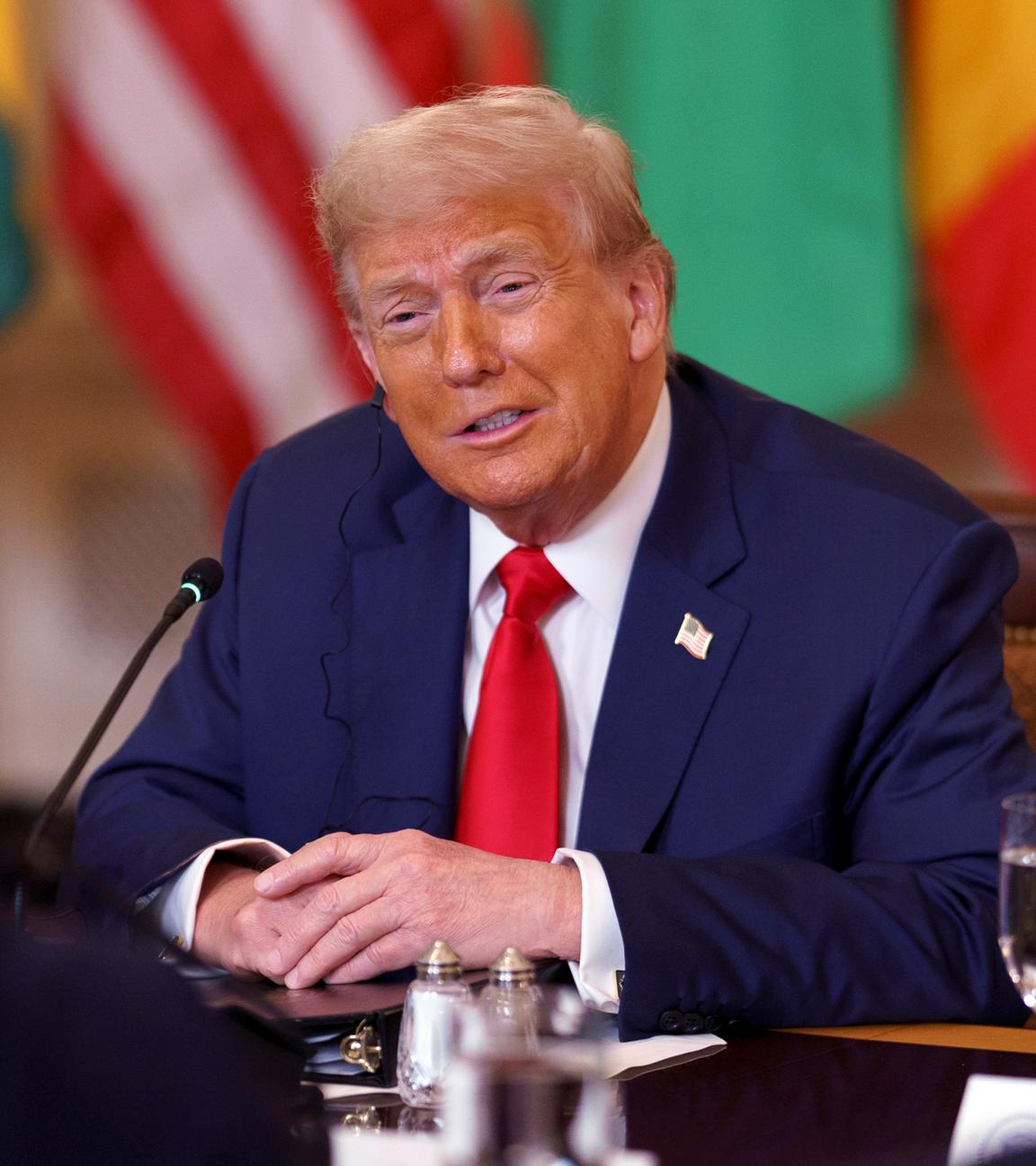 US President Donald Trump meets African leaders at the White House