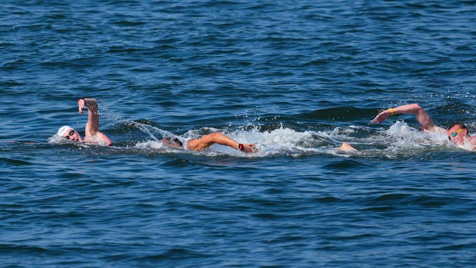 Schwimm-WM in Singapur - Freiwasser
