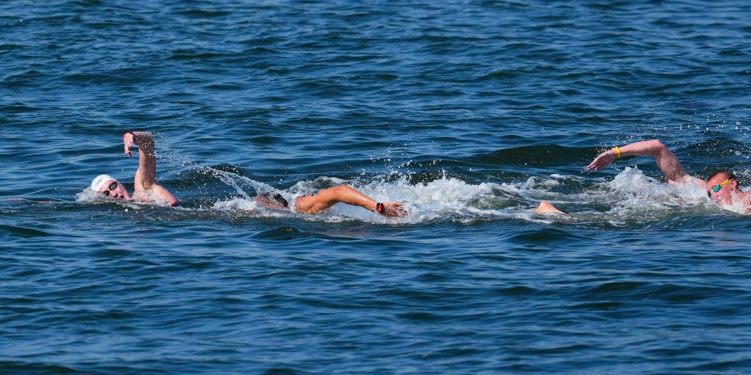 Schwimm-WM in Singapur - Freiwasser