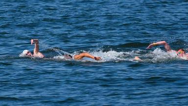 Schwimm-WM in Singapur - Freiwasser