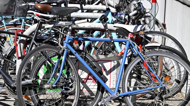 salsa fahrrad kaufen Hardtail Trail Bike – Rangefinder CUES 10 29 axll_seo Trenoli BRENTA COMPACT Performance Color:Ice Blue