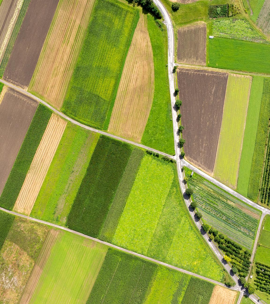 Gepflegte Felder bilden ein geometrisches Muster in der österreichischen Landschaft