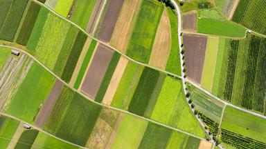 Gepflegte Felder bilden ein geometrisches Muster in der österreichischen Landschaft