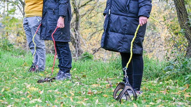 Hobby-Dogging - ein  neuer Trend