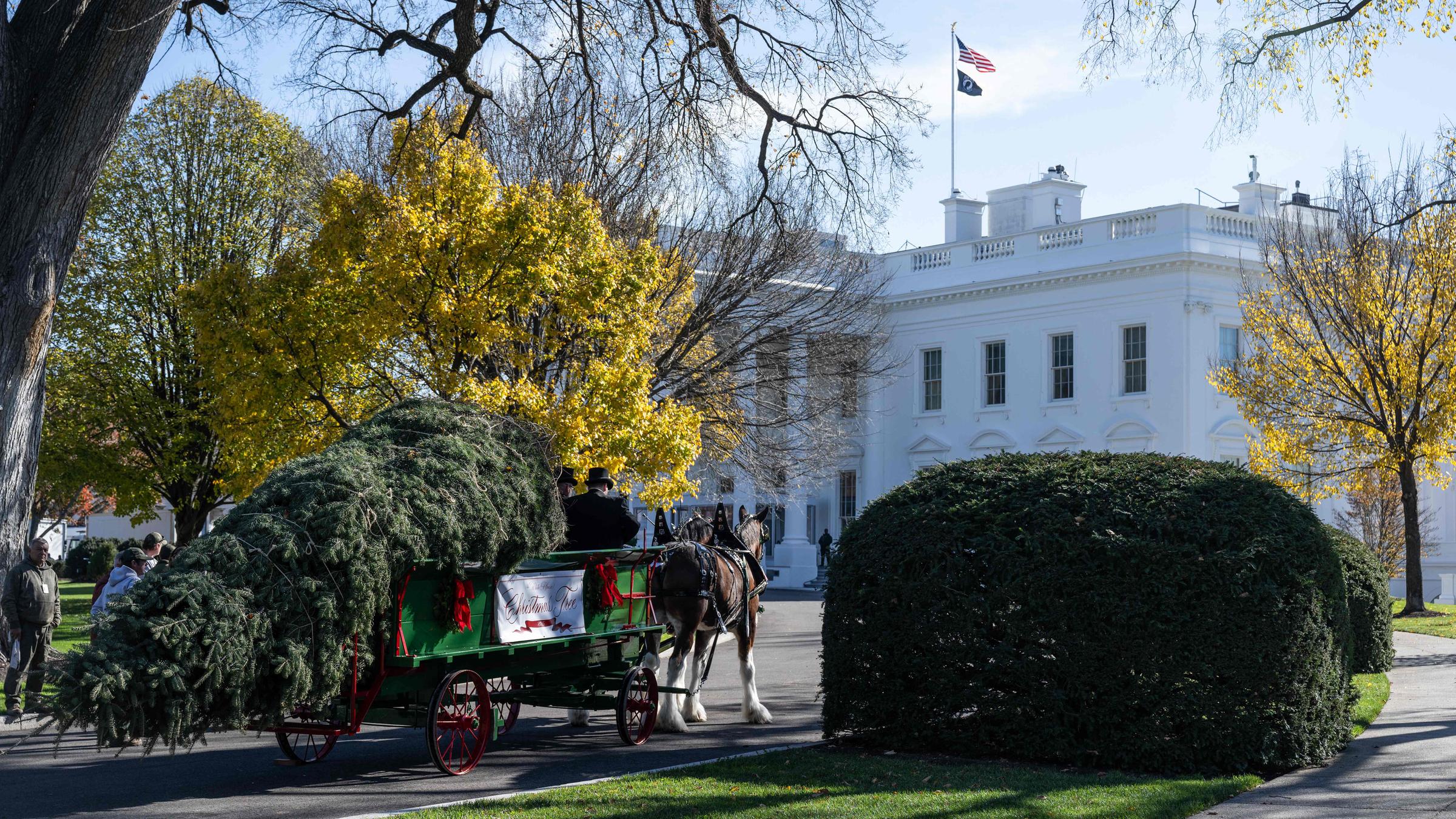 US First lady Melania Trump welcomes the official 2025 White House Christmas Tree