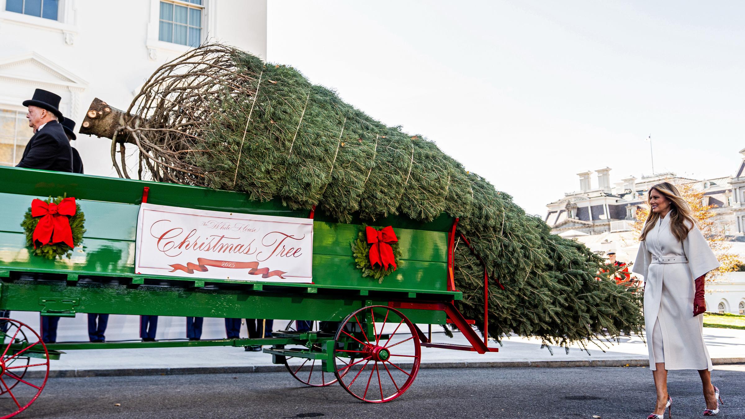 Ankunft des Weihnachtsbaums im Weißen Haus