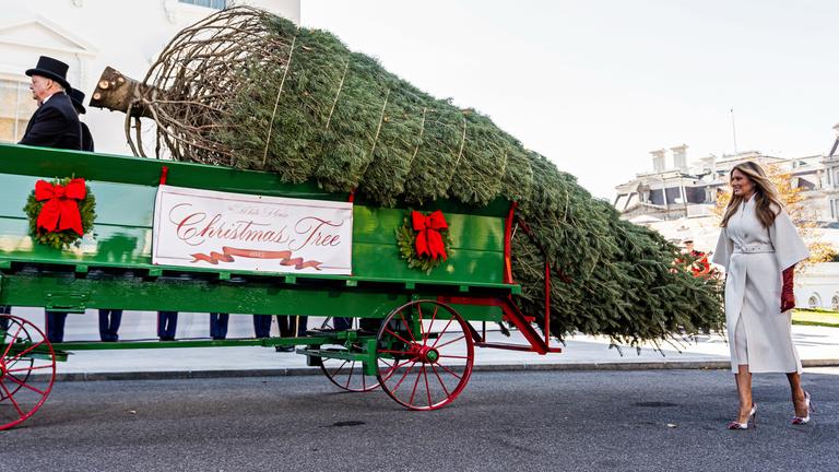 Ankunft des Weihnachtsbaums im Weißen Haus