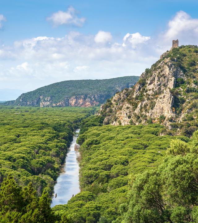 Panoramablick auf den regionalen Naturpark Parco della Maremma. Toskana, Italien.