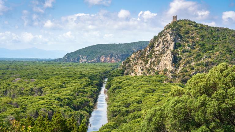 Panoramablick auf den regionalen Naturpark Parco della Maremma. Toskana, Italien.