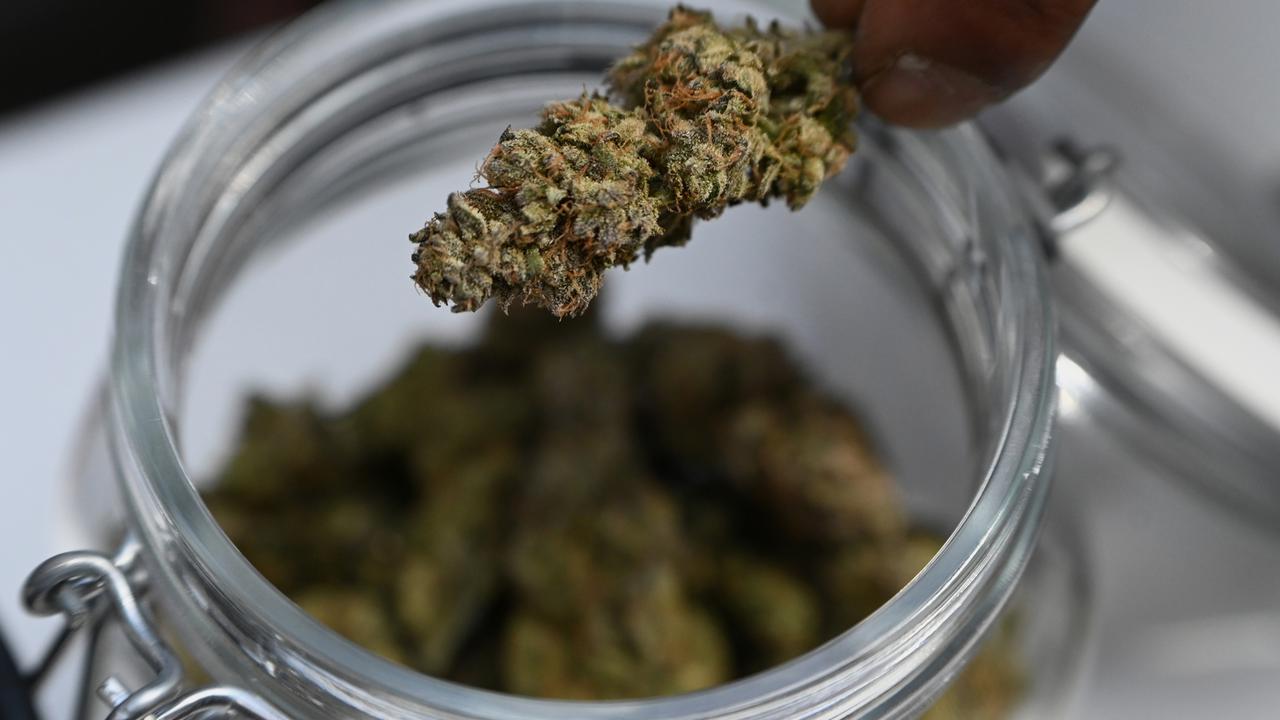 Cannabis-Schwarzmarkt schrumpft seit Teillegalisierung