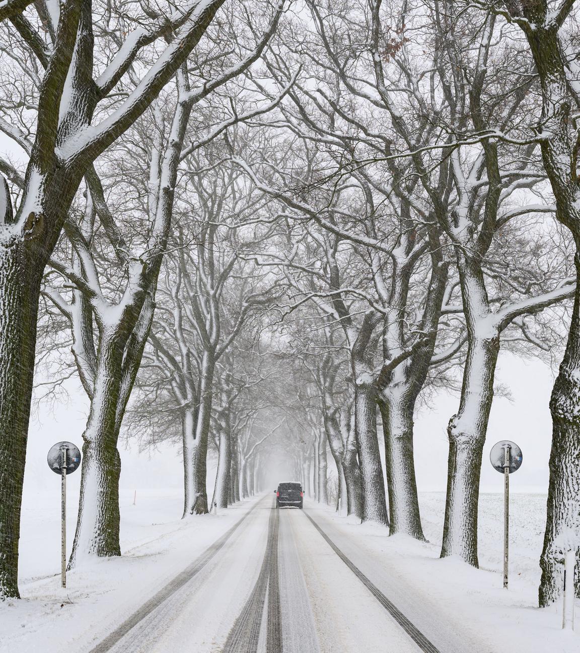 Winter in Brandenburg