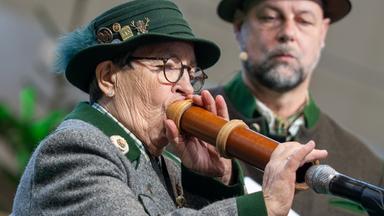 Wer röhrt am besten?