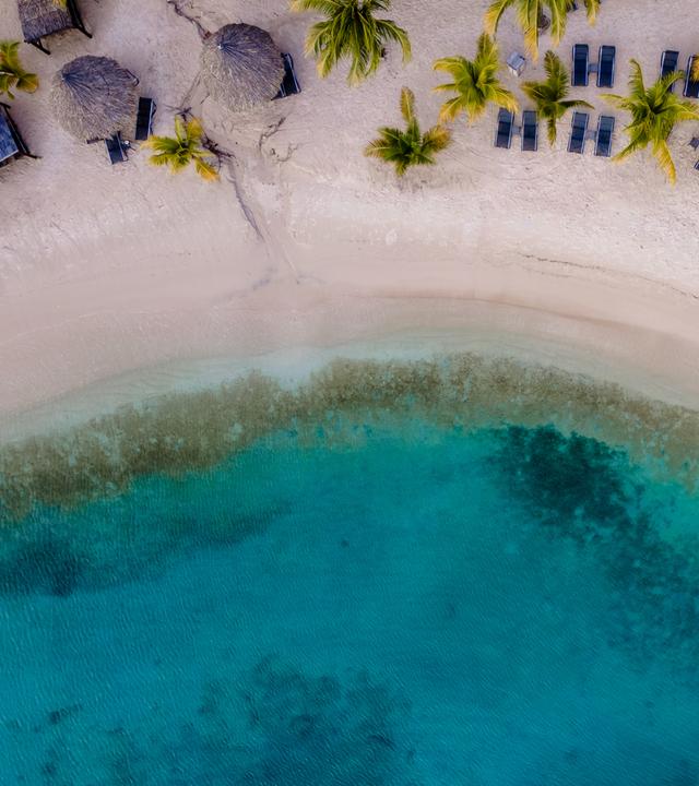 Ruhiger Strandblick in Willemstad, Curaçao, mit ruhigem türkisfarbenem Wasser und sich im Wind wiegenden Palmen