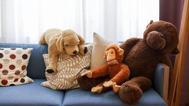 Kuscheltiere als Symbolbild
